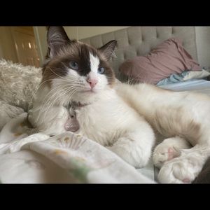 Meet your Posher, Casey margaret